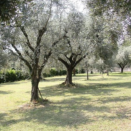 B&B Agli Ulivi Manerba del Garda Esterno foto