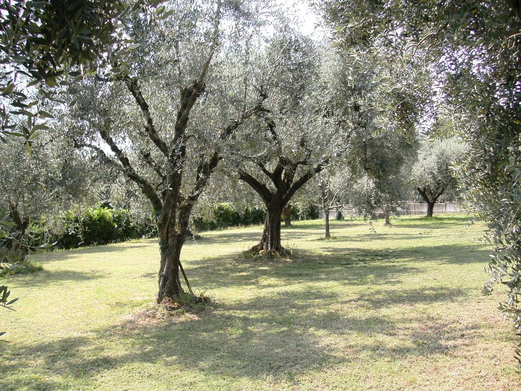 B&B Agli Ulivi Manerba del Garda Esterno foto